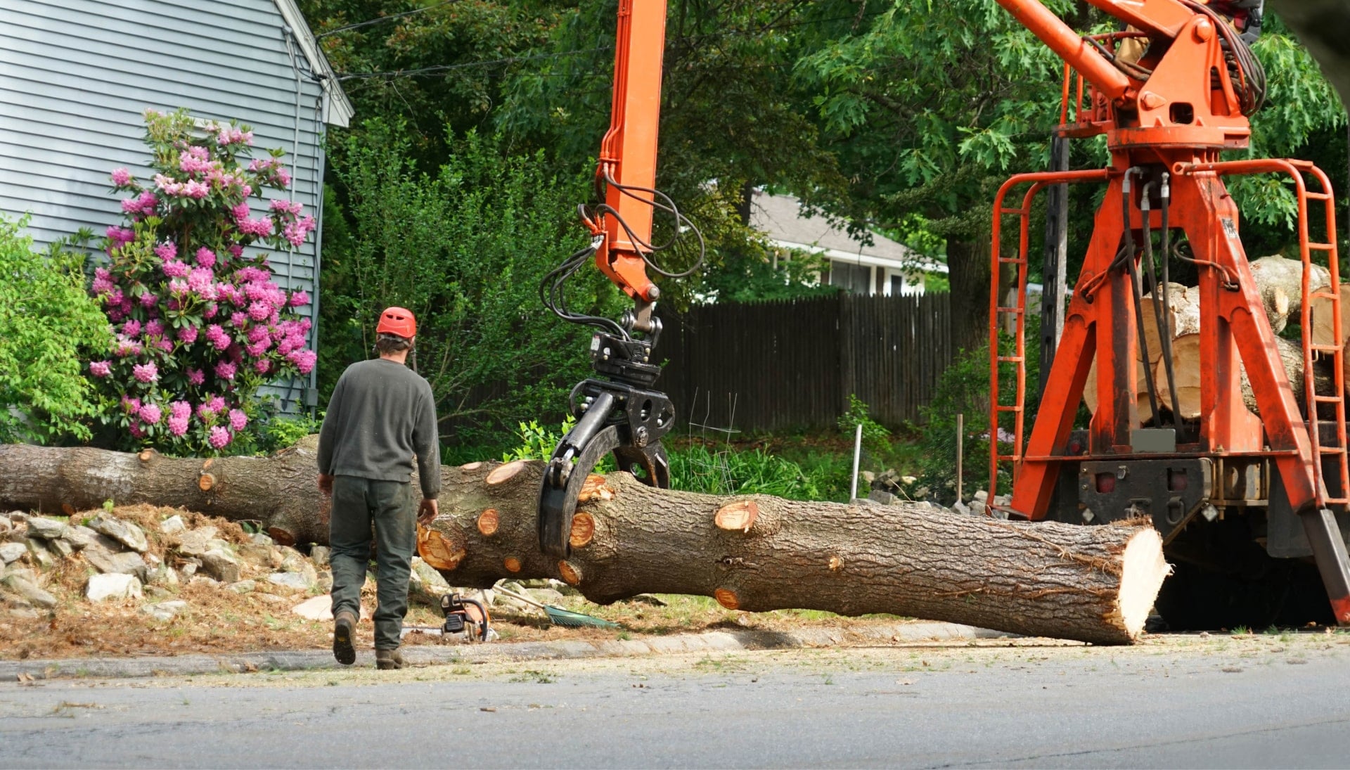 A company doing tree removal in Bloomington, IN.